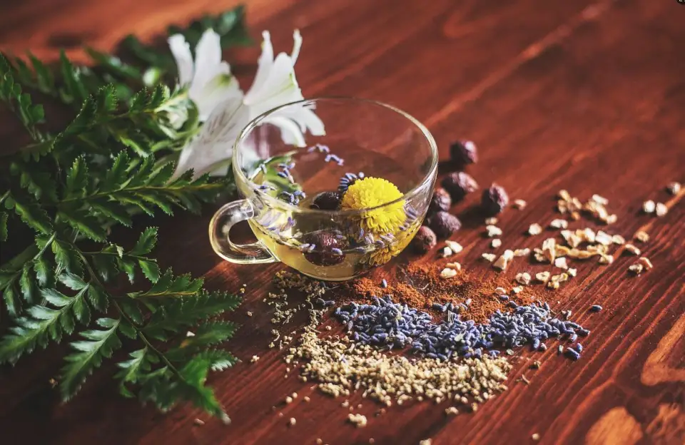 Chinese Herbal Weight Loss Results: 16kg Lost in 6 Months